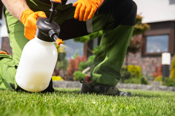 Lawn Pest Control in Giddings, TX